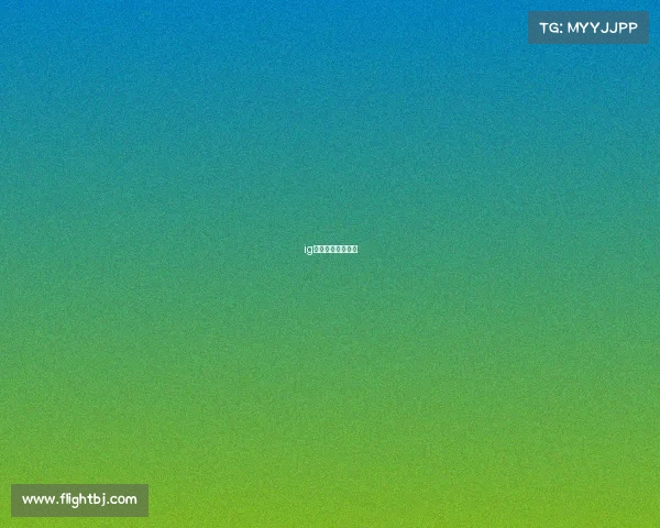 ig炉石分部有哪些人